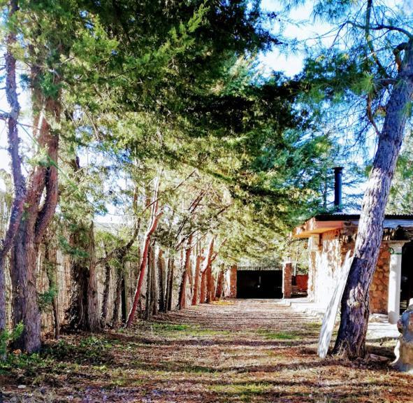 La Cabana De Piedra رويديرا المظهر الخارجي الصورة